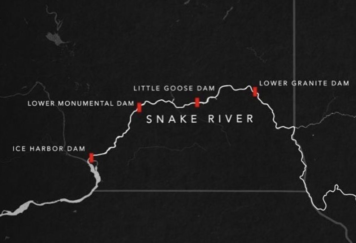Map of the Snake River showing Ice Harbor, Lower Monumental, Little Goose and Lower Granite dams.