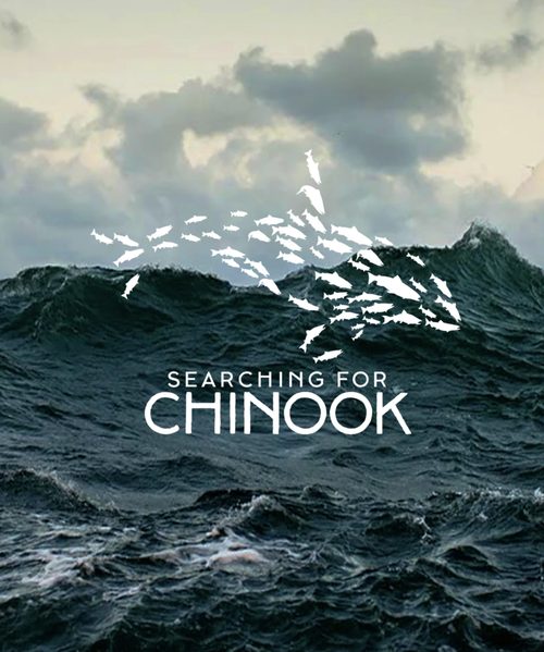 Searching for Chinook film poster.