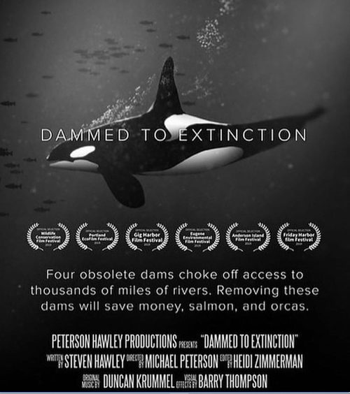Dammed to Extinction film poster.