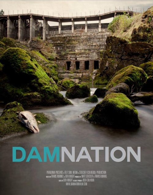 DamNation film poster.